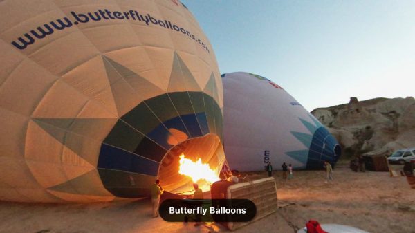 Butterfly Balloons